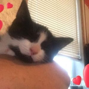 Meet your Posher, Charlotte